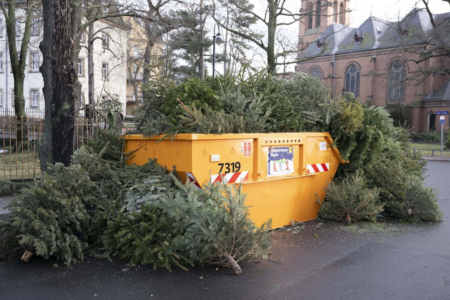 Belgian Authorities to the Public: Please Don’t Eat Your Old Christmas Tree